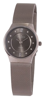 Wrist watch Skagen 233XSTTM for women - picture, photo, image
