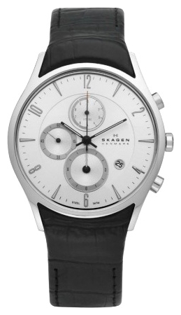 Wrist watch Skagen 329XLSLC for men - picture, photo, image