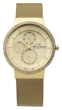 Wrist watch Skagen 357XLGG for women - picture, photo, image