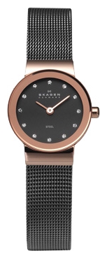 Wrist watch Skagen 358XSRM for women - picture, photo, image