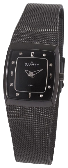 Wrist watch Skagen 380XSBB1 for women - picture, photo, image