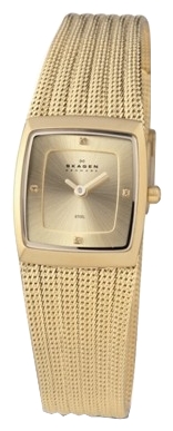 Wrist watch Skagen 380XSGGG for women - picture, photo, image