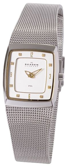 Wrist watch Skagen 380XSGS1 for women - picture, photo, image