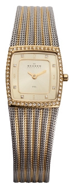 Wrist watch Skagen 384XSGSG for women - picture, photo, image