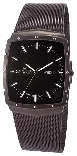 Wrist watch Skagen 396LTMB for Men - picture, photo, image