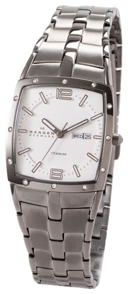 Wrist watch Skagen 396STX for women - picture, photo, image