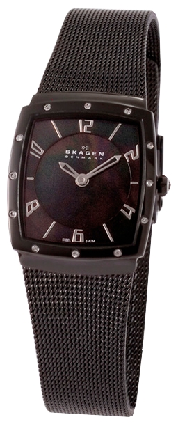 Wrist watch Skagen 396XSBB for women - picture, photo, image