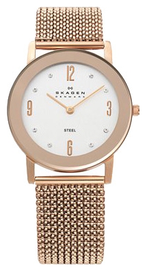 Wrist watch Skagen 39LRR1 for women - picture, photo, image