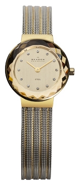 Wrist watch Skagen 456SGS1 for women - picture, photo, image