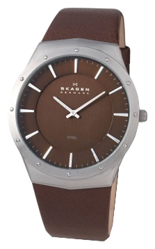Wrist watch Skagen 509XXLSLD for women - picture, photo, image