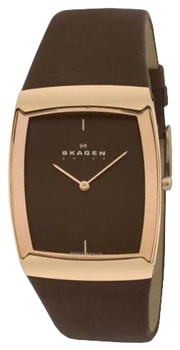 Wrist watch Skagen 584LRLM for men - picture, photo, image
