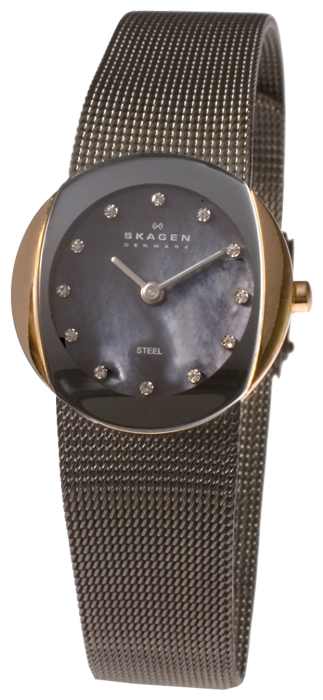 Wrist watch Skagen 589SRM for women - picture, photo, image