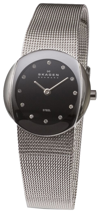 Wrist watch Skagen 589SSSB for women - picture, photo, image