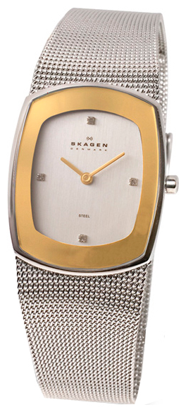 Wrist watch Skagen 649SGSC for women - picture, photo, image