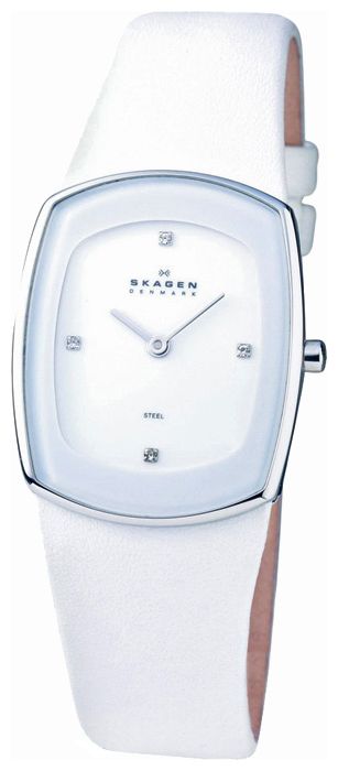 Wrist watch Skagen 649SSLWW for women - picture, photo, image