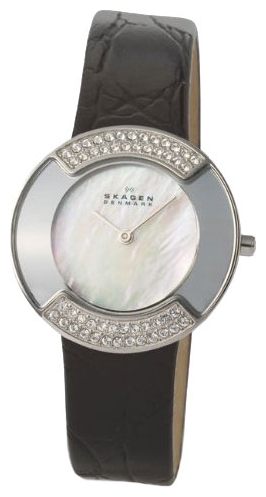 Wrist watch Skagen 669SSLB4 for women - picture, photo, image