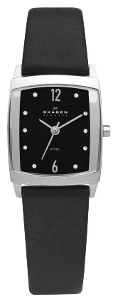 Wrist watch Skagen 691SSLB for women - picture, photo, image