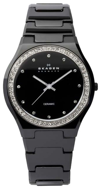 Wrist watch Skagen 813LXBC for women - picture, photo, image