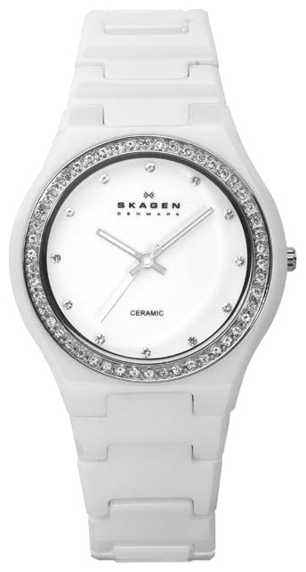 Wrist watch Skagen 813LXWC for women - picture, photo, image