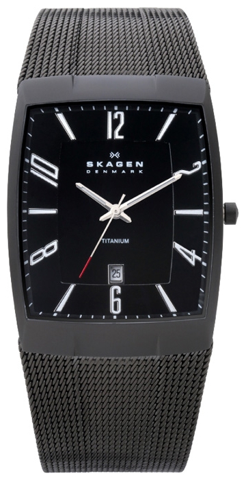 Wrist watch Skagen 851LTBB for men - picture, photo, image