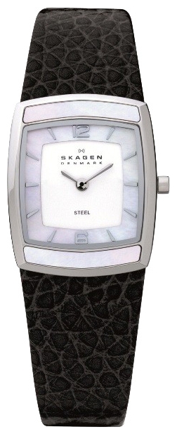 Wrist watch Skagen 855SSLB for women - picture, photo, image