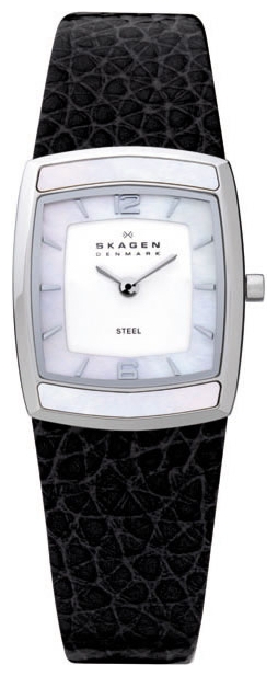 Wrist watch Skagen 855SSLYB for women - picture, photo, image