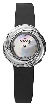 Wrist watch Skagen 885SSLB for women - picture, photo, image