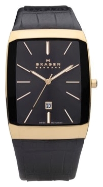 Wrist watch Skagen 984LRLB for Men - picture, photo, image