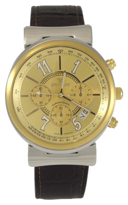Wrist watch SPECTRUM S12273M 2 for Men - picture, photo, image