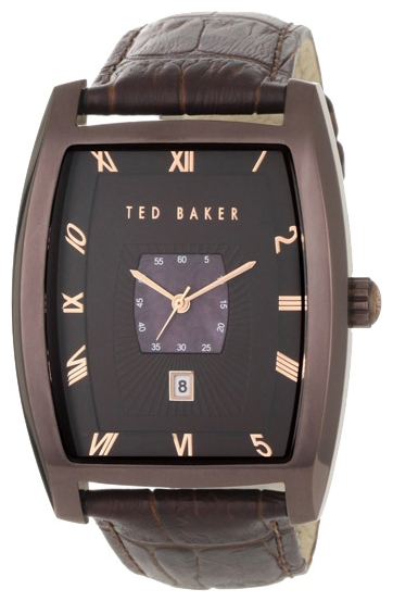 Wrist watch Ted Baker ITE1065 for men - picture, photo, image