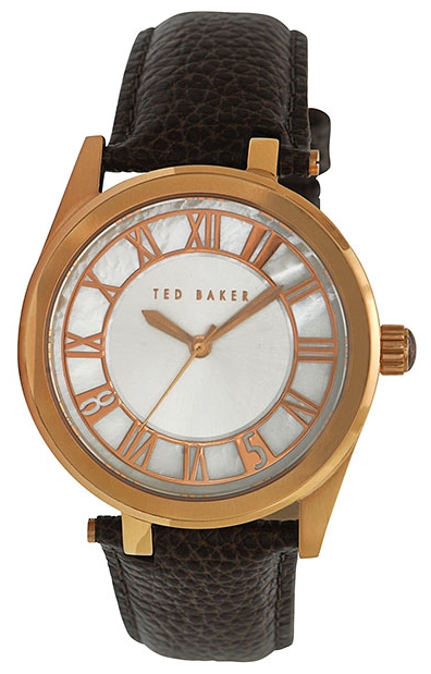 Wrist watch Ted Baker ITE1079 for Men - picture, photo, image