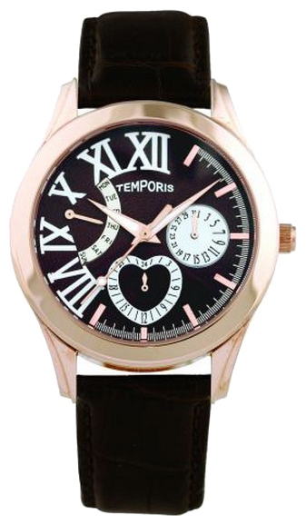 Wrist watch Temporis T013LS.06 for women - picture, photo, image