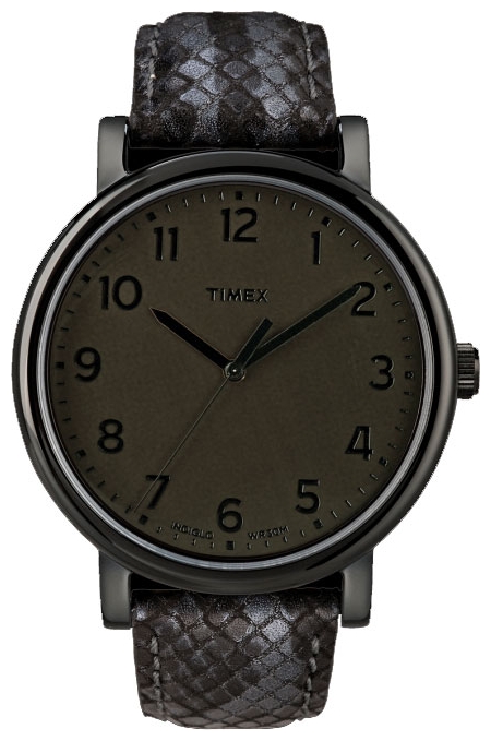 Timex T2N595 pictures