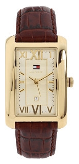 Wrist watch Tommy Hilfiger 1710259 for men - picture, photo, image