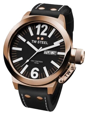 Wrist watch TW Steel CE1022 for Men - picture, photo, image