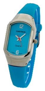 Wrist unisex watch Zaritron FR001-1-g - picture, photo, image