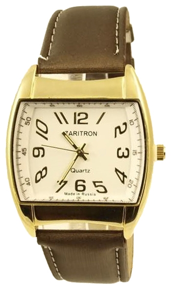 Wrist watch Zaritron GR008-3 for Men - picture, photo, image